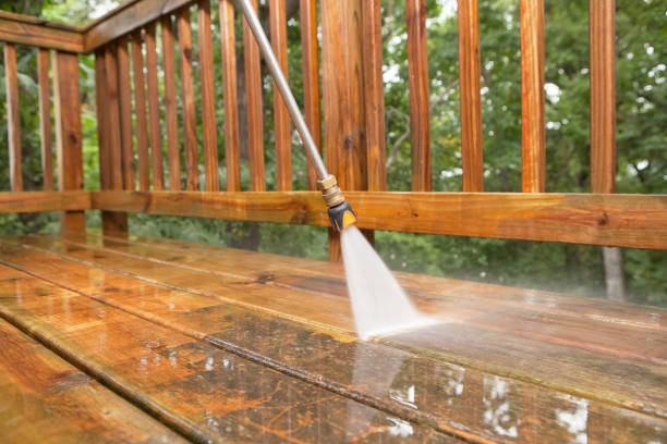 Best Gutter Cleaning  in Ladera Heights, CA